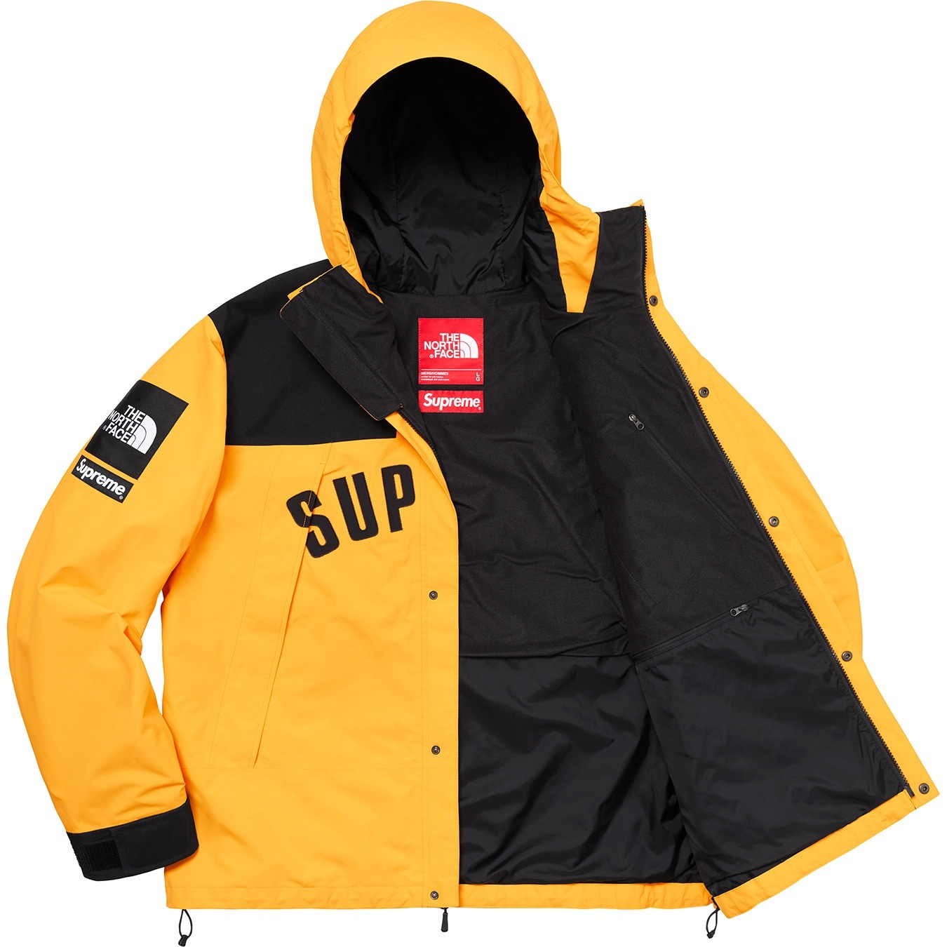 Supreme®/The North Face® Arc Logo Mountain Parka view 10